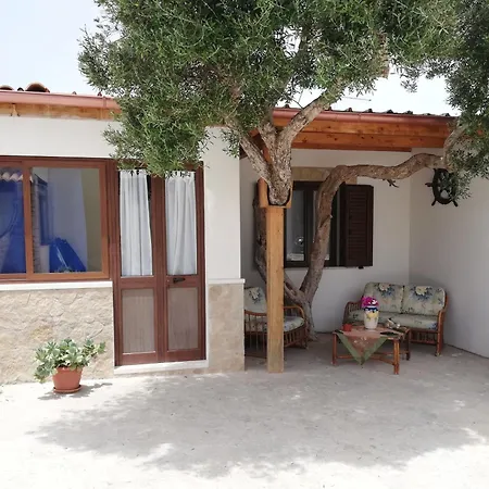 Fico D'india بيت للعطل