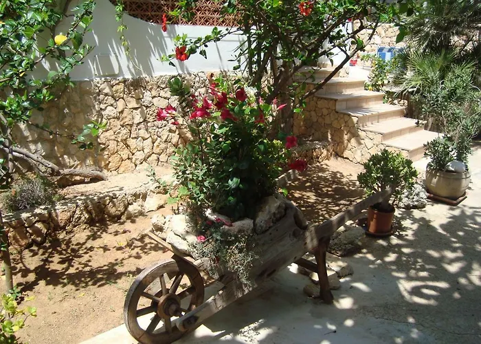 Fico D'india * لامبيدوزا