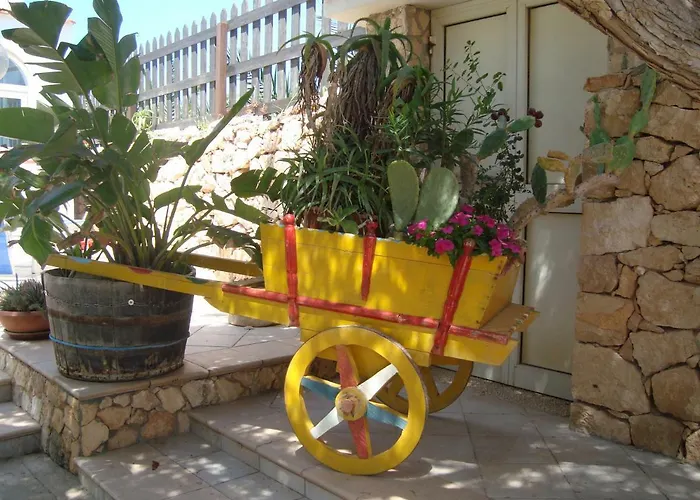 Fico D'india بيت للعطل